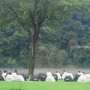 한밝한의원 이미지