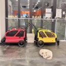 CAFE THE DOG 이미지