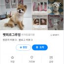 펫피르그루밍 네이버블로그