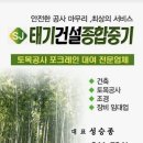 청일조경