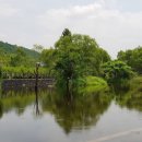 경희닥터곡한의원 이미지