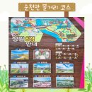 (기획투어)여유순천감성순천 이미지