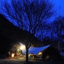 무릉송어장횟집 이미지