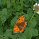 남종우농장 이미지