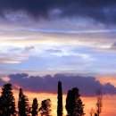 7080 콘서트 이미지