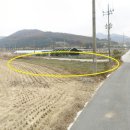 인근농장 이미지