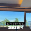 파라스테이 이미지