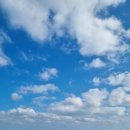 평대해수욕장 이미지