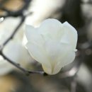 솔한방병원 이미지