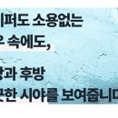 진량자동차유리 네이버블로그