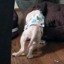 청해농장 이미지