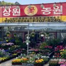 상원농원 이미지