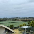 지미스테이 이미지