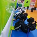 백호 합기도 이미지