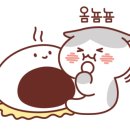 차이나무