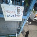 디씨킹마트