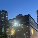 장군족발 - 파주시 사임당로 804-2 | 장군족발