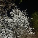 정양한방병원 이미지