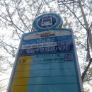 당감4동-15 네이버블로그
