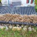 지원농장 이미지