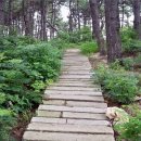 방주민박 이미지