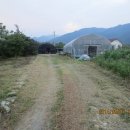 하늘농장7 이미지