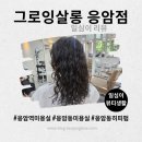 응암빈티지 | 모든 디자이너 히피펌 맛집 [그로잉살롱 응암점] 솔직후기 / 친절 상담, 조용한 시술 선택가능