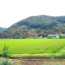 화월경로당 이미지