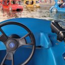 한강오리 이미지