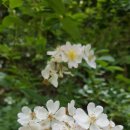 좋은생각 이미지