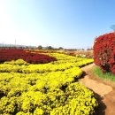 크로바농산물 이미지