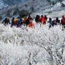 태백산 이미지