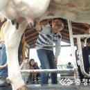 대술초등학교 충청일보