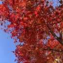 보발재 정상 주차장 이미지