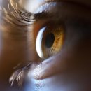 나무 휘트니스 이미지