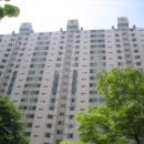 탄벌동-15 이미지