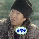 인성슈퍼 | #논산) 2026 논산 딸기 축제 후기 낋여왔슨 (당일치기 여행)