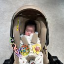 죽전하나약국 | 스타필드마켓 죽전 유아휴게실 구비물품,수유실! 💚 스타벅스까지 즐겼다!!👶🏻