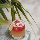 코스모폴리탄 이미지