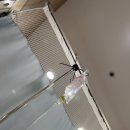 4공단로1L-31 | [28-31주] 임신 28주 배뭉침 태동인줄 알았는데… 조기수축 + 자궁경부 2.0cm 후기