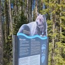 바우밸리 이미지