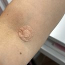 차움 | 종합건강검진 후기 - 차움 건진센터 삼성