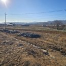 강화조아공인중개사사무소 이미지