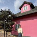 제이드제인 | 3월 첫째주 데일리룩 코디 ( 메비, 제이드몽, 엘로주, 쿠에른, 카이르, 베뉴엣, 코스 COS )
