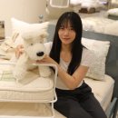 쪼꼬미네 이미지