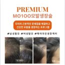 오늘헤어 이미지