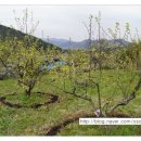 오순농장 이미지