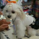 엘리하우스 이미지