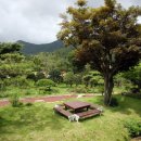 장흥수목원펜션 이미지