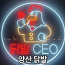 닭발 CEO 이미지